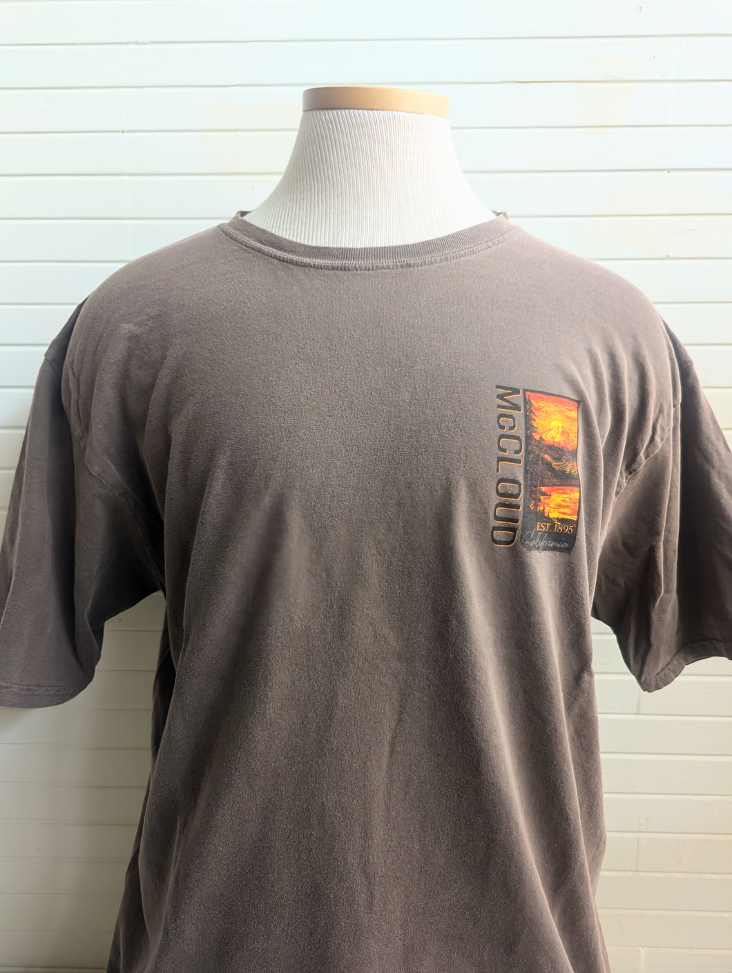 Transcending Mountains Lake Tee